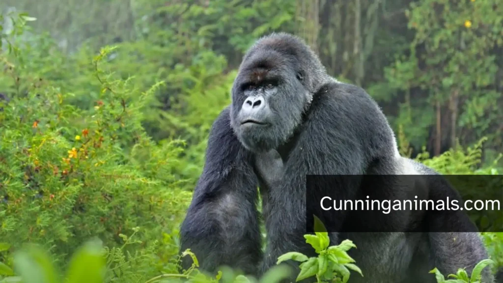 animals that are always hungry