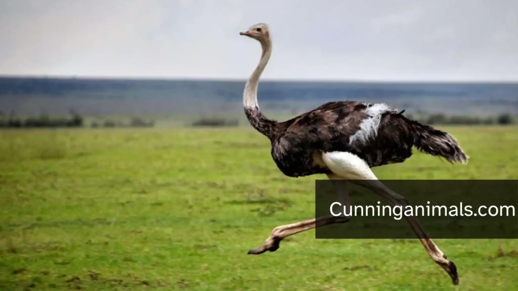 animals with low intelligence