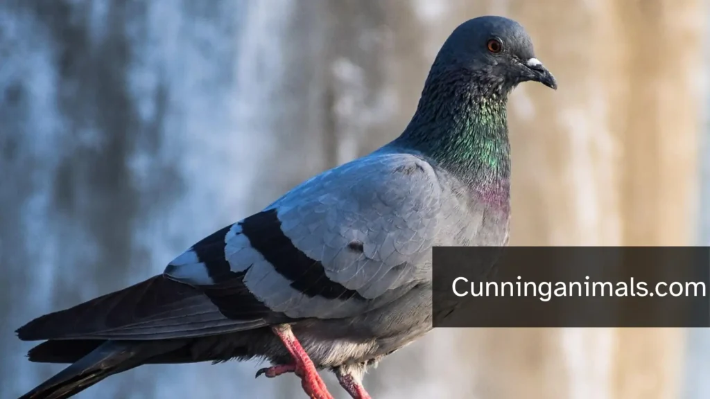 most irritating animals
